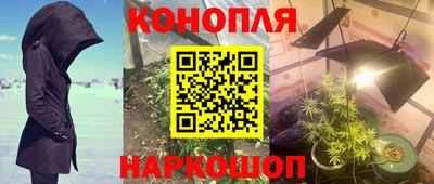 шишки Усть-Джегута