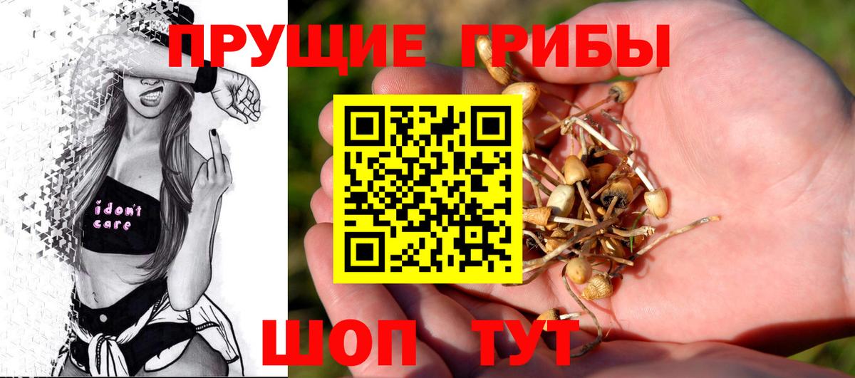 Псилоцибиновые грибы Cubensis  Вход с VPN  Псилоцибиновые грибы Magic Shrooms  Вязьма 